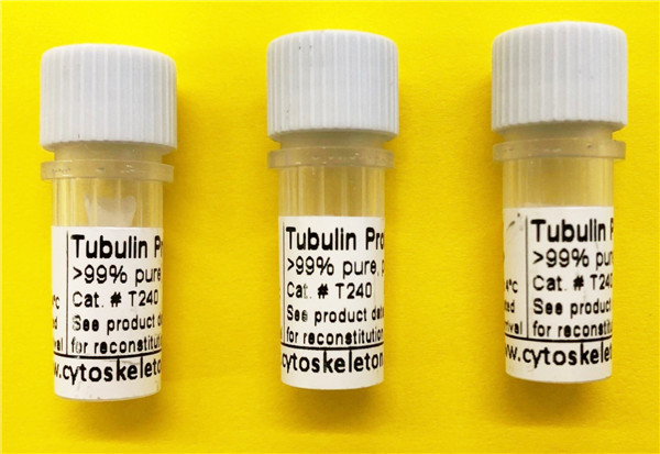 Tubulin-Protein产品.jpg