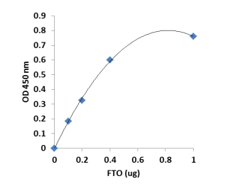 OD值与FTO酶活性成反比.png