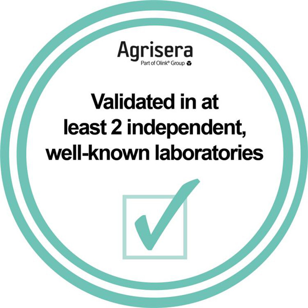 Agrisera抗体的生产、验证和质量
