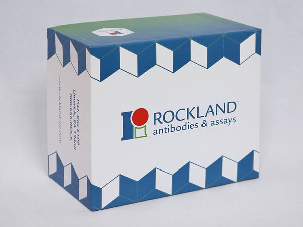 Rockland抗体