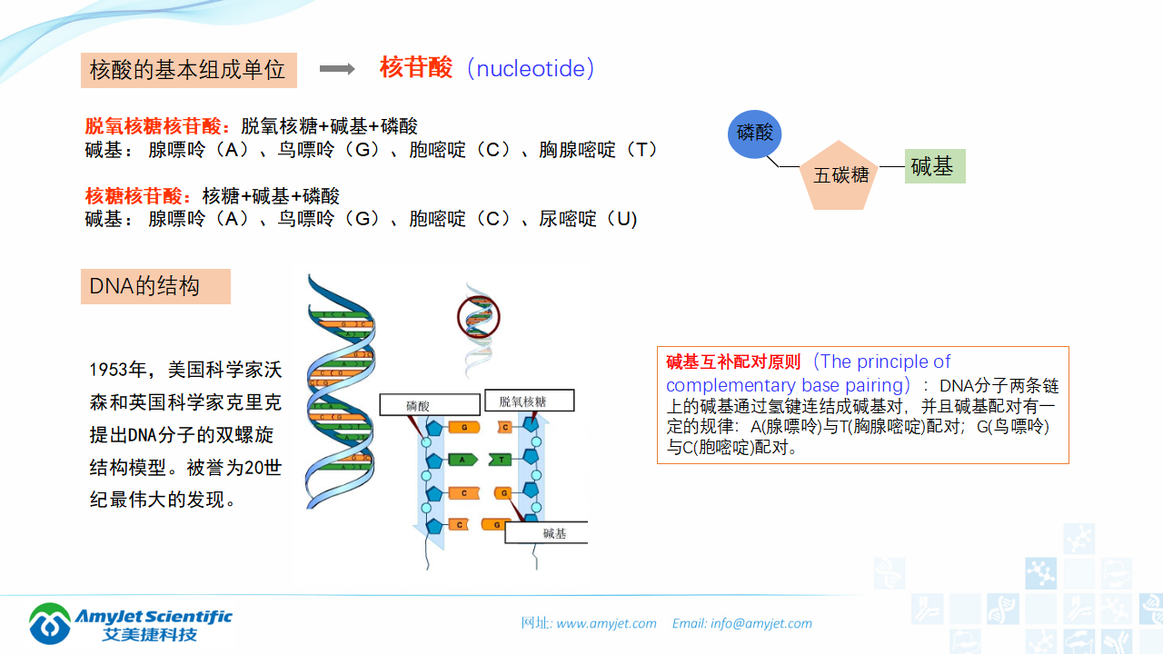 202006-PCR背景与解决方案_04.png